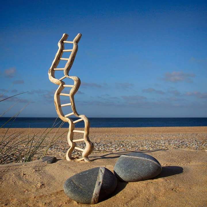 FB_IMG_1535138799524